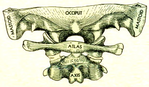 Stacks Image 13
