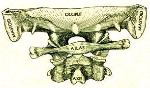 Stacks Image 8